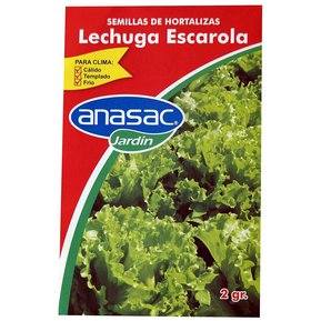 Semilla Lechuga Escarola 2 Gramos.